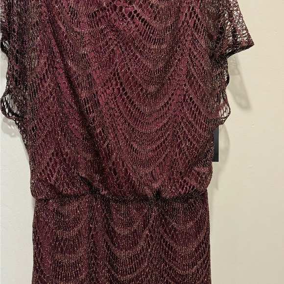 SLNY
Fringe Hem Crochet
Blouson Long Dress in fig color size 6 - Picture 5 of 11